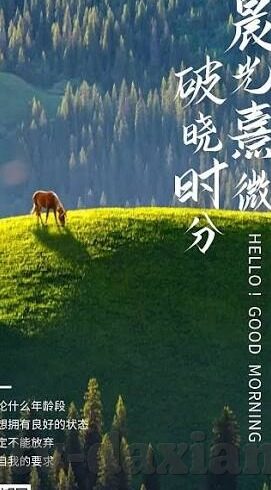 app糖心vlog-数字世界的甜蜜时光，App糖心Vlog的视觉盛宴与社交新体验