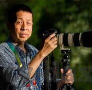 成人免费视频网站-成人内容平台的合法性与道德考量