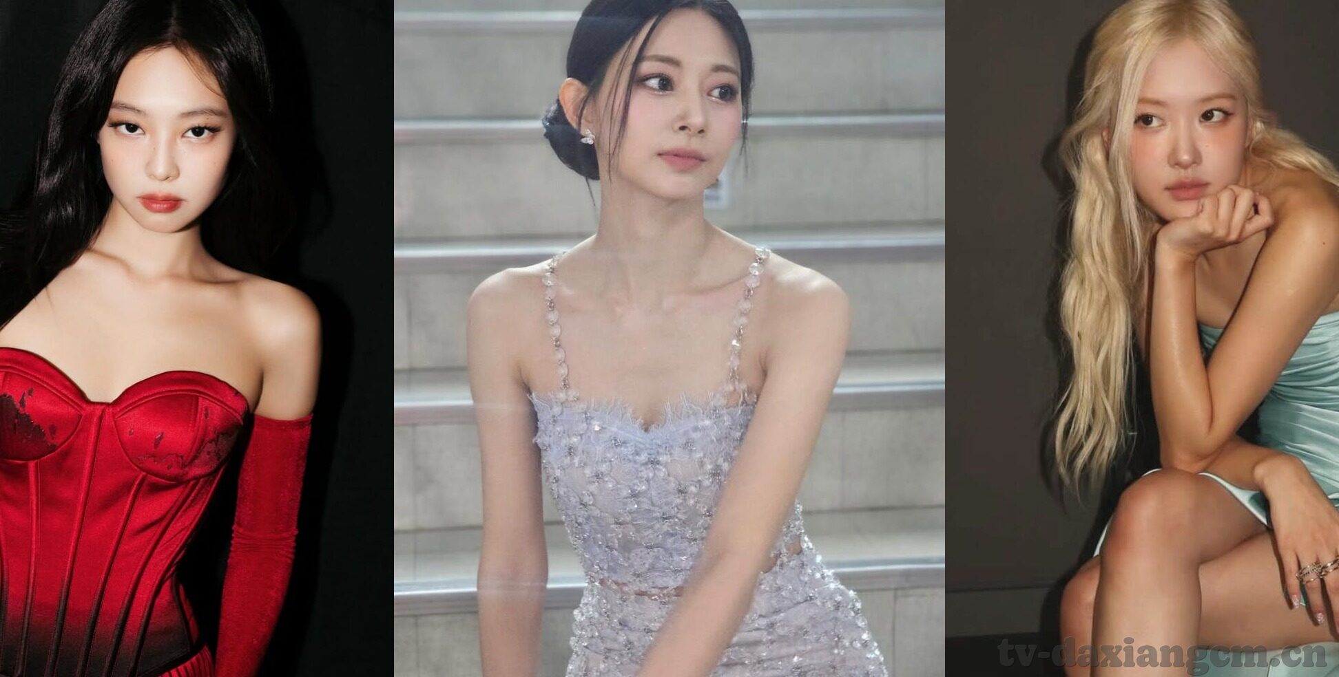 大象肚子爆炸视频-震撼人心的大象肚子爆炸视频，自然界的悲剧与人类反思