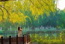 精品国产一区二区三区av性色-国产影视的多元化探索，一区、二区、三区的文化与艺术