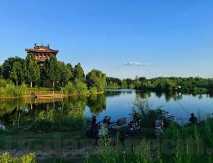 麻豆69堂免费视频-麻豆69堂，透视成人教育领域的便捷之门