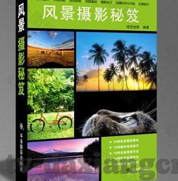 麻豆传媒映画女主角-非刻意的审视，麻豆传媒映画中女主角的角色塑造与时代意义