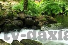 麻豆直播传媒app-数字娱乐新潮，麻豆直播——探索当代直播传媒的活力与魅力