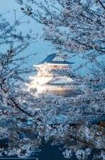 欧美日韩av无码-欧美日韩AV无码，文化现象与艺术探讨
