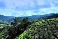 日韩av免费网站-探索成人娱乐的边界，日韩AV免费资源与网络伦理