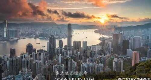 糖心app最新会员兑换码-发现生活之美，独家解析糖心App最新会员兑换秘籍