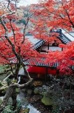 糖心vlog蜘蛛侠风采-糖心vlog视角下的蜘蛛侠，都市守护者的不凡风采