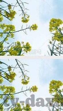 亚洲AV日韩AV无码高潮-探索亚洲与日韩AV文化的多元视角，无码高潮的背后